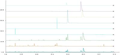 In vitro and in vivo synergistic inhibition of Malassezia furfur targeting cell membranes by Rosa rugosa Thunb. and Coptidis Rhizoma extracts